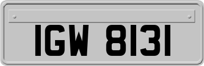 IGW8131