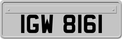 IGW8161