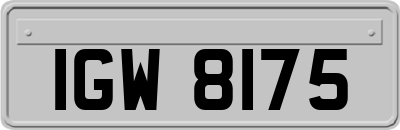 IGW8175