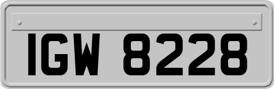 IGW8228