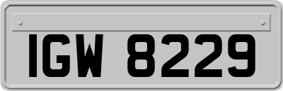 IGW8229