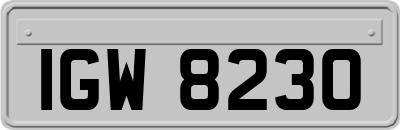 IGW8230