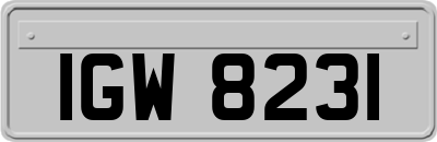 IGW8231