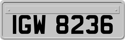IGW8236