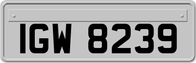 IGW8239