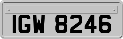IGW8246
