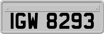 IGW8293
