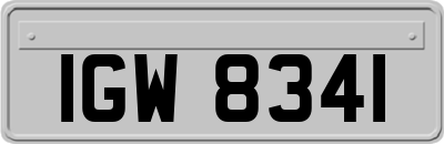 IGW8341