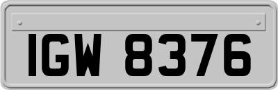 IGW8376
