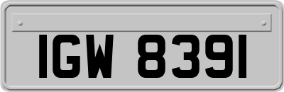 IGW8391