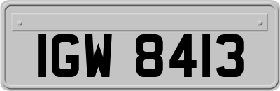 IGW8413