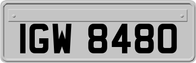 IGW8480