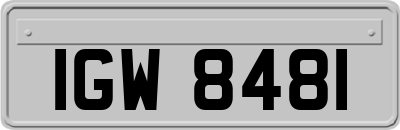 IGW8481