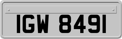 IGW8491