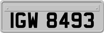 IGW8493
