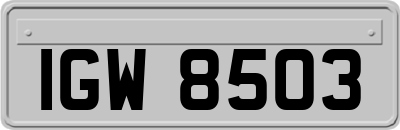 IGW8503
