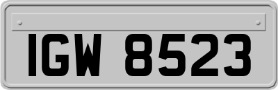 IGW8523