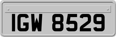 IGW8529