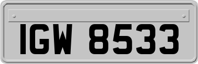 IGW8533