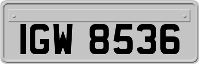 IGW8536