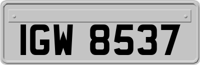 IGW8537