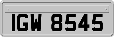 IGW8545