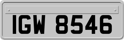 IGW8546