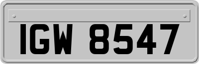IGW8547