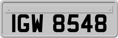 IGW8548