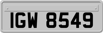 IGW8549