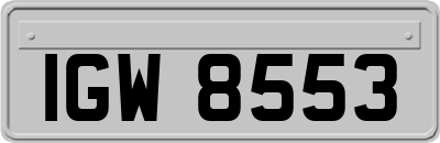 IGW8553