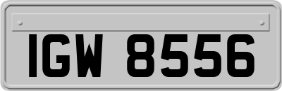 IGW8556