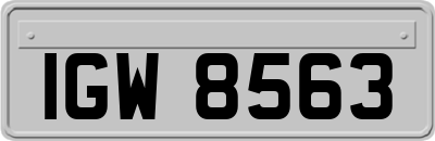 IGW8563