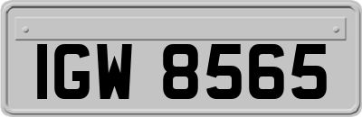 IGW8565