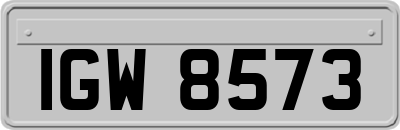 IGW8573