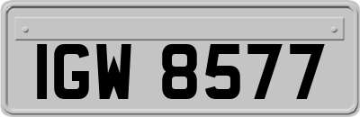IGW8577