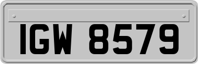 IGW8579