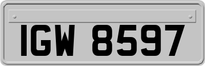 IGW8597