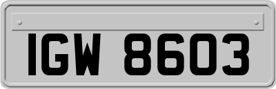 IGW8603