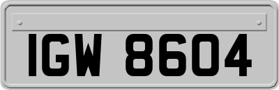 IGW8604