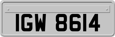 IGW8614