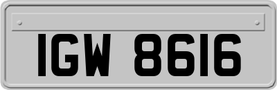 IGW8616