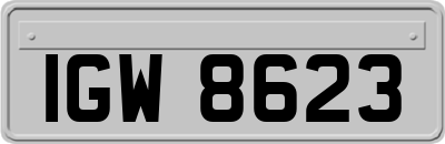IGW8623