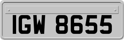 IGW8655