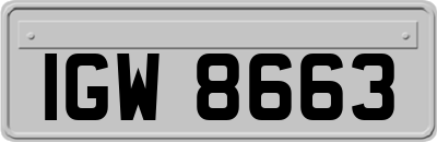 IGW8663