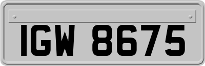 IGW8675