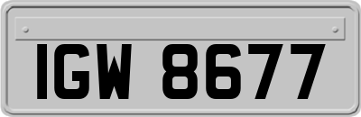IGW8677
