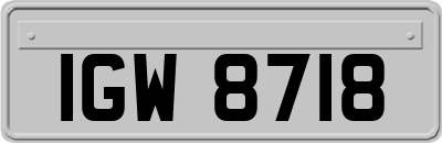 IGW8718