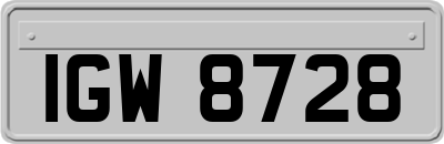 IGW8728