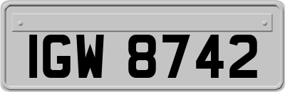 IGW8742